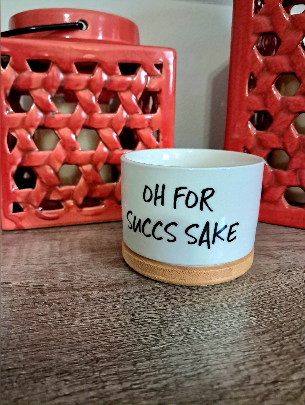 Oh For Succs Sake Ceramic Planter with Bamboo Tray
